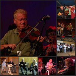 Guitar, fiddle, mandolin, ukulele, workshops, teaching, courses